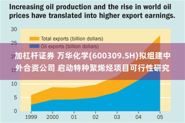 加杠杆证券 万华化学(600309.SH)拟组建中外合资公司 启动特种聚烯烃项目可行性研究