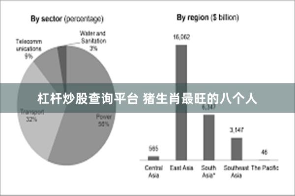 杠杆炒股查询平台 猪生肖最旺的八个人