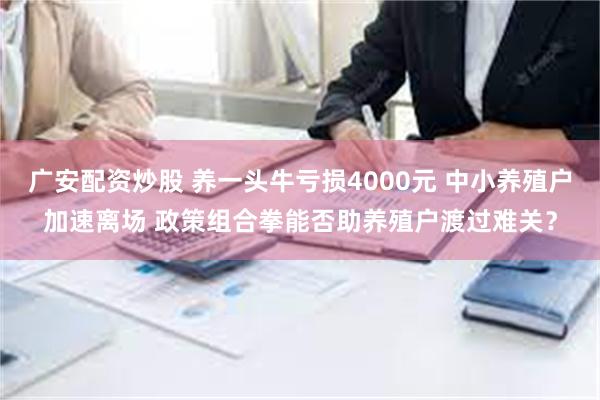 广安配资炒股 养一头牛亏损4000元 中小养殖户加速离场 政策组合拳能否助养殖户渡过难关？