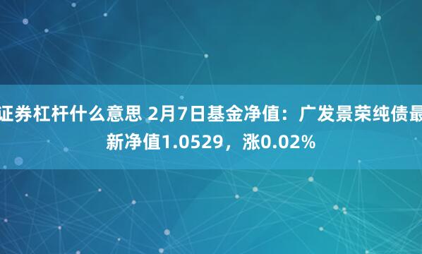 证券杠杆什么意思 2月7日基金净值：广发景荣纯债最新净值1.0529，涨0.02%