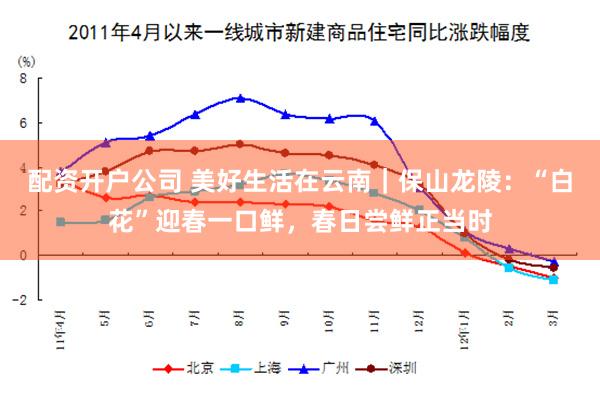 配资开户公司 美好生活在云南｜保山龙陵：“白花”迎春一口鲜，春日尝鲜正当时