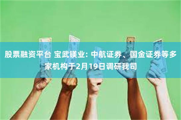 股票融资平台 宝武镁业: 中航证券、国金证券等多家机构于2月19日调研我司