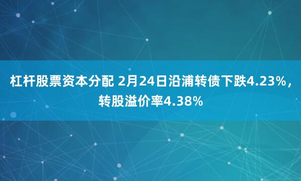 杠杆股票资本分配 2月24日沿浦转债下跌4.23%，转股溢价率4.38%