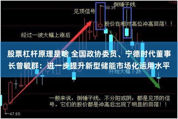 股票杠杆原理是啥 全国政协委员、宁德时代董事长曾毓群：进一步提升新型储能市场化运用水平