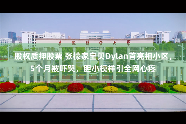 股权质押股票 张檬家宝贝Dylan首亮相小区，5个月被吓哭，胆小模样引全网心疼